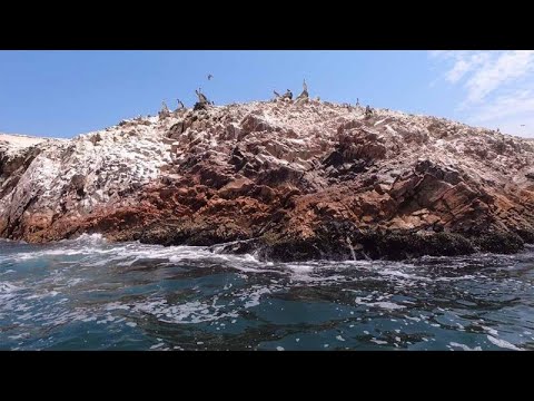 Paracas: Cierran acceso a las Islas Ballestas por los fuertes vientos y oleajes anómalos