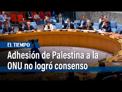Sin consenso en el Consejo de Seguridad sobre adhesión de Palestina a la ONU | El Tiempo
