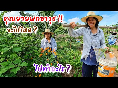 EP172แบกเสียมไปไหน-วัตถุดิบพื้ EP172แบกเสียมไปไหน-วัตถุดิบพื้