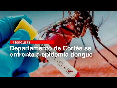 Departamento de Cortés se enfrenta a epidemia dengue