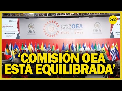 Misión de la OEA en Lima: “Comisión está equilibrada en cuanto a los miembros”