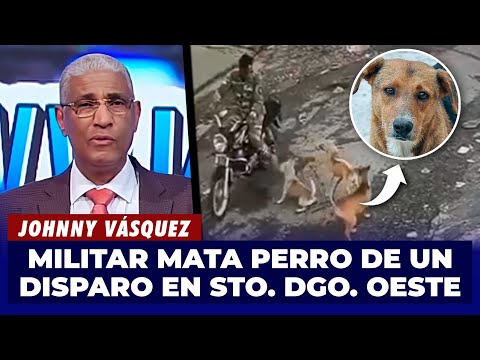 Johnny Vásquez | Militar mata perro de un disparo en Santo Domingo Oeste | El Garrote