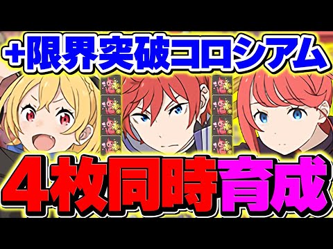 ラインハルト所持者は絶対に見て！+891育成をやろう！周回編成2パターン！！【パズドラ】