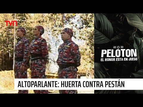 Altoparlante: Camilo Huerta contra María Pestán | Pelotón