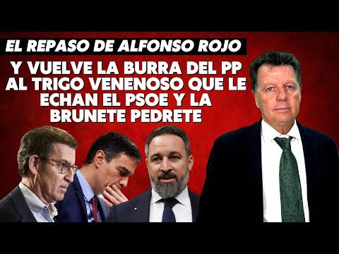 Alfonso Rojo: “Y vuelve la burra del PP al trigo venenoso que le echan el PSOE y la Brunete Pedrete”