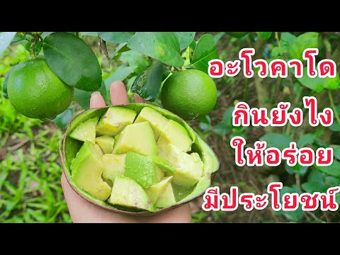 อะโวคาโดกินแบบนี้อร่อยมีประโยช อะโวคาโดกินแบบนี้อร่อยมีประโยช
