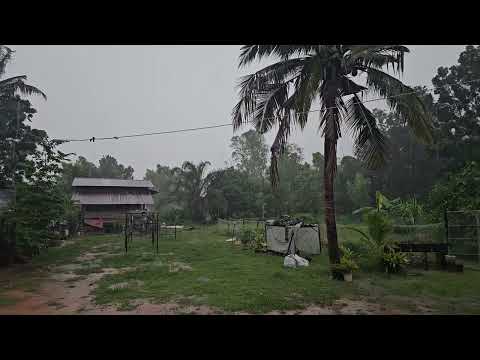 อ.ลำดวนจ.สุรินทร์ตอนนี้ฝนกำลั