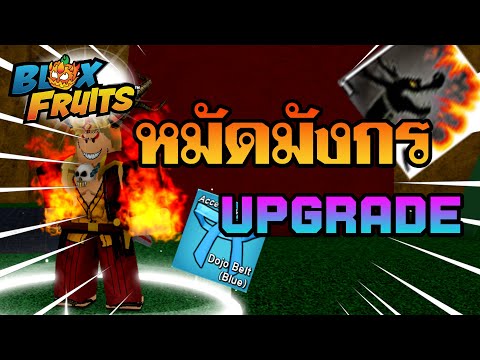 Roblox:BloxFruits|สอนทำหมั