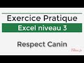 Excel - 3 Avanc - Exercice Respect Canin