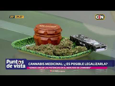Cannabis medicinal: ¿Es posible legalizarla?