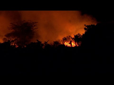 Bomberos sofocan incendio en carretera a Masaya