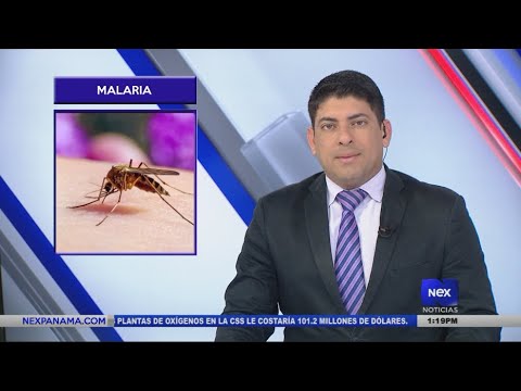 Casos de malaria en Panamá se duplican y pueden seguir aumentando