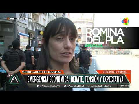Emergencia económica: debate, tensión y expectativa