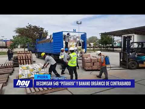 Piura: Decomisan 548 “pitahaya” y banano orgánico de contrabando
