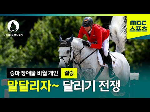 공동 1위가 세 명..아니 세 마리..?! 점프 오프 까지 간 승마 결승전 [파리올림픽 승마 장애물 비월 개인 결승]