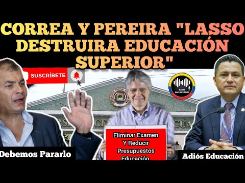 CORREA DARWIN PEREIRA ARREMETEN C0NTR4 LASSO ACABARA CON EDUCACIÓN SUPERIOR NOTICIAS ECUADOR RFE TV