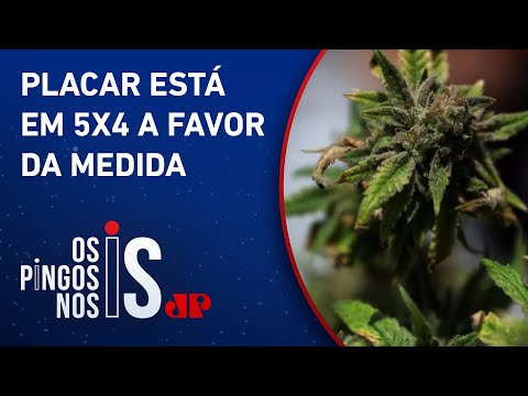 STF vota descriminalização do porte de maconha