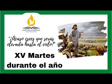 EVANGELIO DE HOY - XV Martes durante el año - 14 de julio - Mateo 11, 20-24 - El día del juicio