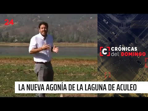Crónicas del Domingo | La nueva agonía de la Laguna de Aculeo