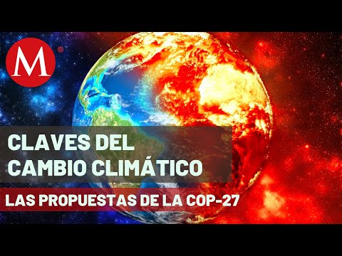 “Sin avances suficientes en cambio climático”: Andrés Flores director de Cambio Climático y Energía