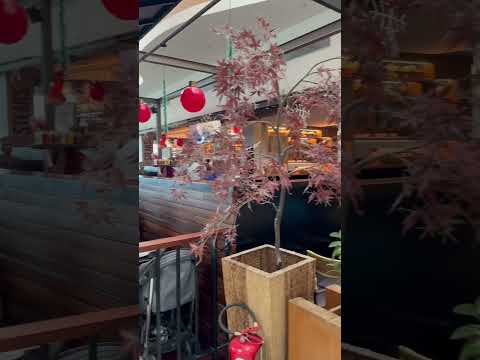 Thumbnail Video Youtube