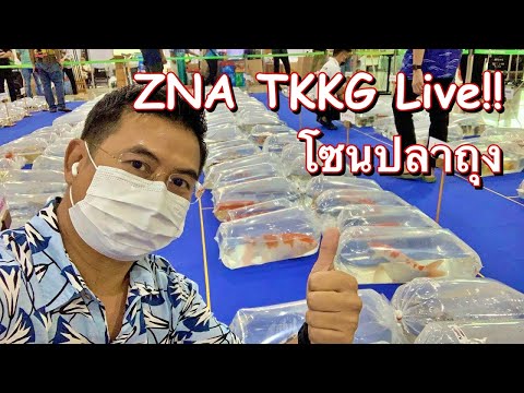 โซนปลาเล็ก-ZNA-TKKG-2022-Live!