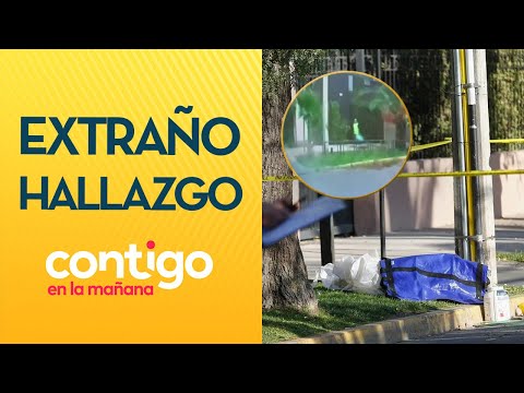 CURIOSO VIDEO: Los detalles que se conocen de hallazgo de cuerpo en Ñuñoa - Contigo en la Mañana