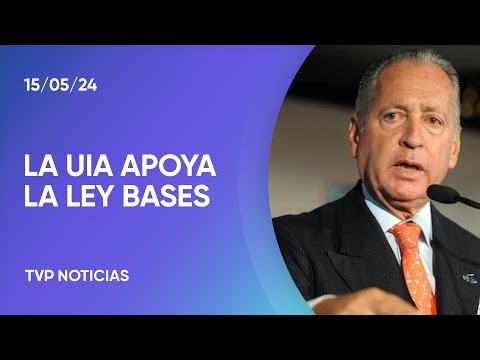 La Unión Industrial se ilusiona con que se apruebe la Ley Bases con cambios en el RIGI