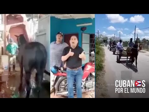 Guajiros cubanos en Consolación del Sur protestan contra el régimen tras la muerte de un caballo.