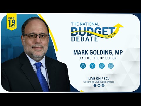 Sitting of the House of Representatives || Budget Debate - March 19, 2024