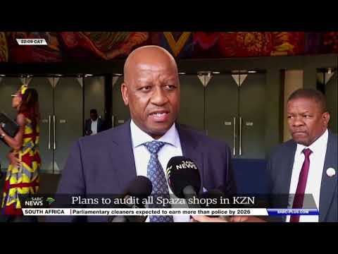 Plans under way to audit all spaza shops in KZN: Premier Ntuli