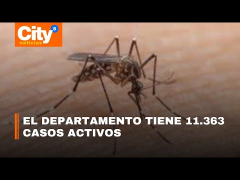 Alerta por aumento de casos de dengue en Cundinamarca | CityTv