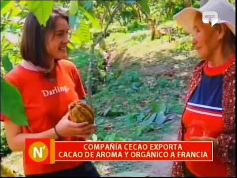 Compañía Cecao exporta cacao de aroma y orgánico a Francia