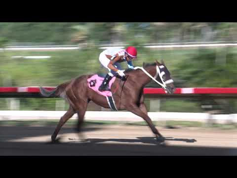 CARRERA 4 - 11/OCTUBRE/2024 (MY LADY D)