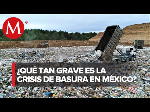 Solo 5% de basura se recicla en México, se generan 350 millones de toneladas al año