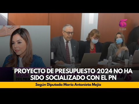 Proyecto de Presupuesto 2024 no ha sido socializado con el PN, según diputada María Antonieta Mejía.