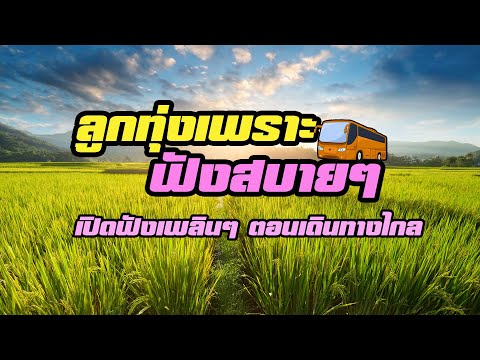 รวมเพลงลูกทุ่งเพราะฟังสบายเพล