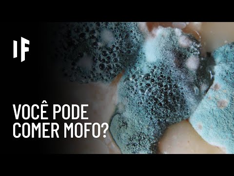 Thumbnail Video Youtube