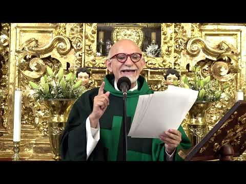 Homilía de Hoy del Padre José - 14 de julio de 2024