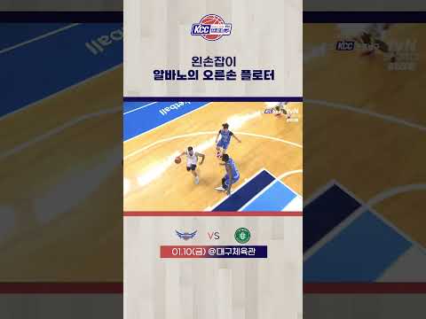 왼손잡이 알바노의 오른손 플로터