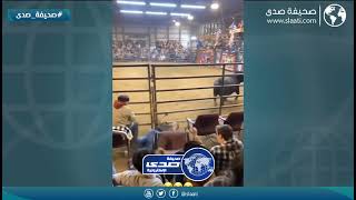 ثور ينطح امرأة