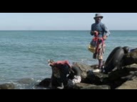 Venezuelans turn to high sea on tubes to fishing