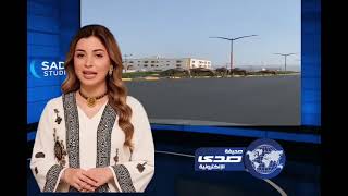 إبل سائبة تجوب شارع بأضم وتقتات على أشجاره