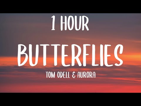 Tom Odell & AURORA - Butterflies(1 HOUR/Lyrics)