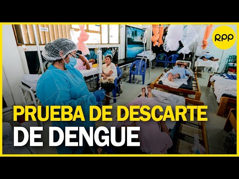 Dengue en Perú: ¿En qué situación debo acceder a una prueba de descarte?