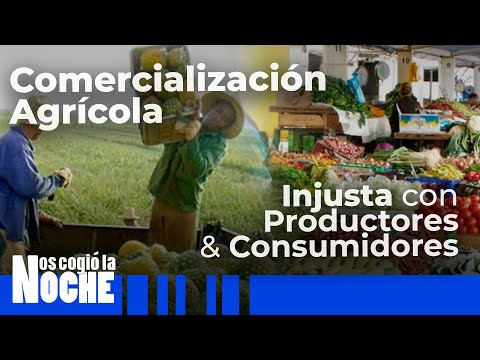 Comercialización agrícola es muy injusta con los  productores y los consumidores -Nos Cogió La Noche