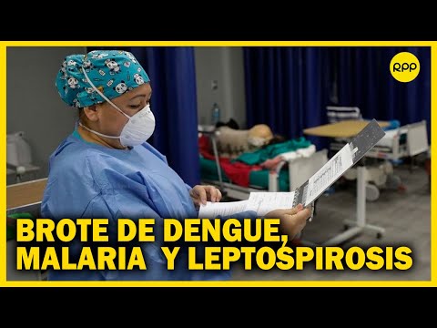Loreto: Alertan brote de dengue, malaria y leptospirosis