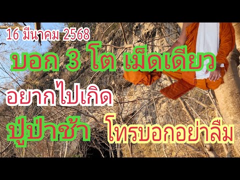 อยากไปเกิดมาบอกเป็นโต...เม็ดเ