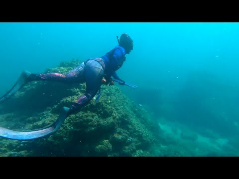 Live For Local – Free Dive Spear Fisher Danielle Bachew