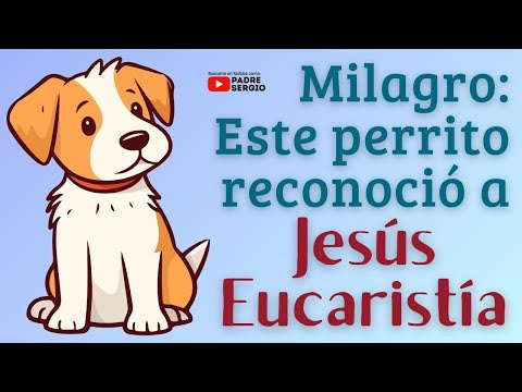 Milagro: un perrito reconocio? a Jesu?s Eucaristi?a